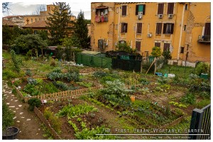 The first urban vegetable garden 